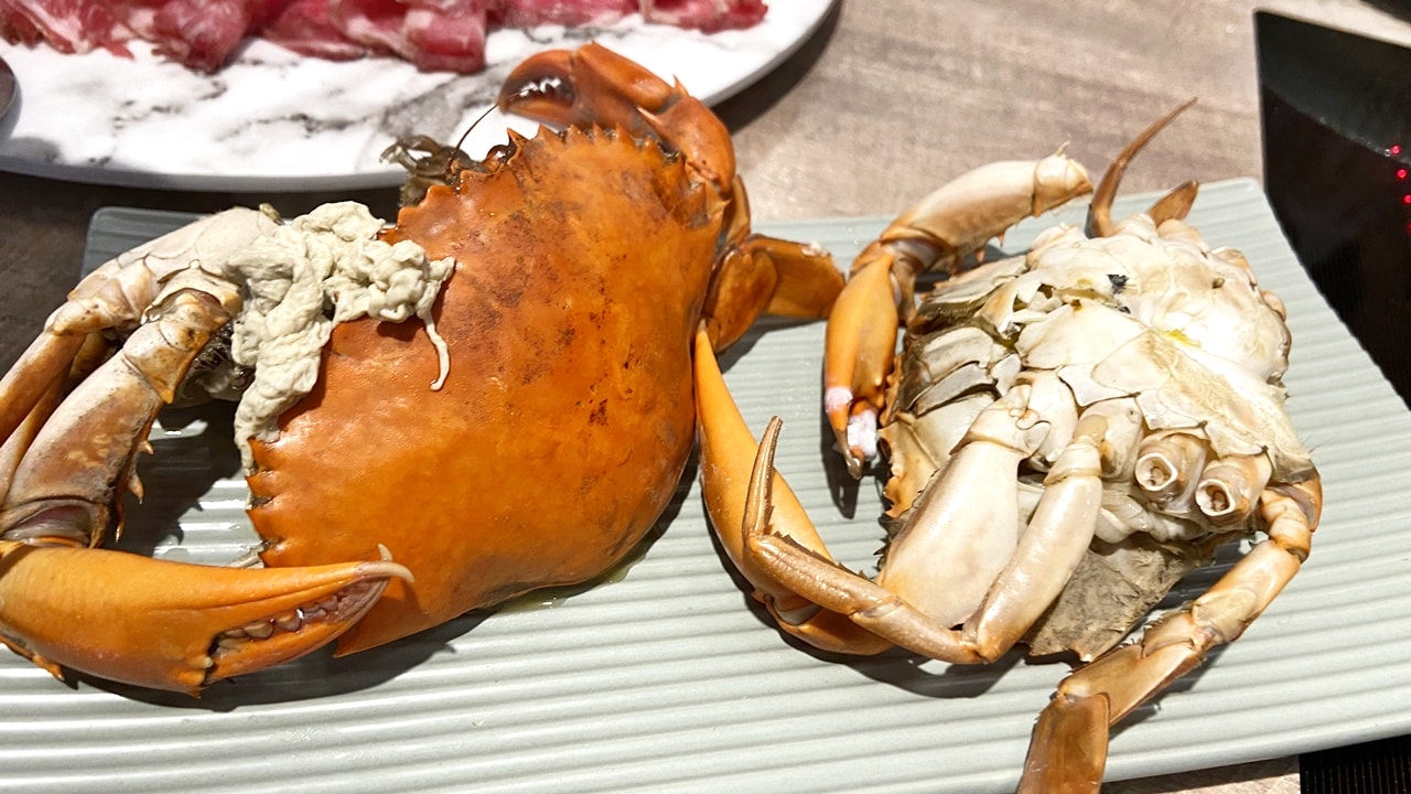 【中山食記】深紅汕頭鍋物台北民權店,2人也可以屠龍計畫,海鮮肉肉搭配汕頭湯頭超讚,店內各種花式活動讓你吃飽飽,近中山國中站 (菜單) - 第35張圖