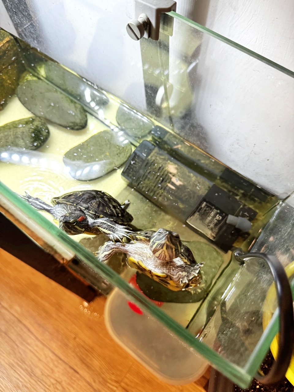 【大安食記】壽司爸 生魚片丼飯日本料理專賣,近捷運六張犁站樂業街(菜單) - 第12張圖 【大安食記】壽司爸 生魚片丼飯日本料理專賣,近捷運六張犁站樂業街(菜單)