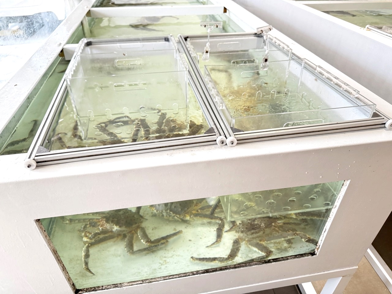 【左營食記】平凡五金行北高店 高雄超狂海鮮肉品超市! 2樓免費代客料理和牛+自己煮火鍋超划算，活體波龍也能現點現烤